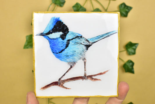 Australian Blue Fairy Wren Coaster 4 Pack