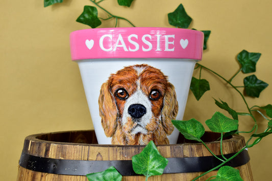 Terracotta Pot Pet Portrait