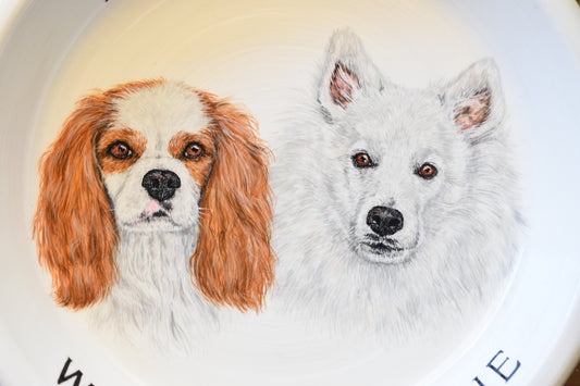 Terracotta Pet Plate