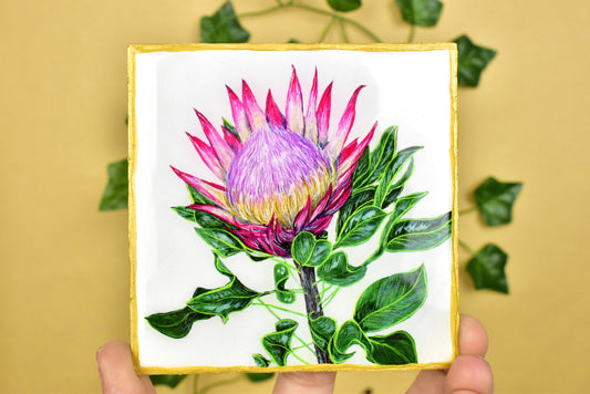 Australian Floral Coaster 4 Pack