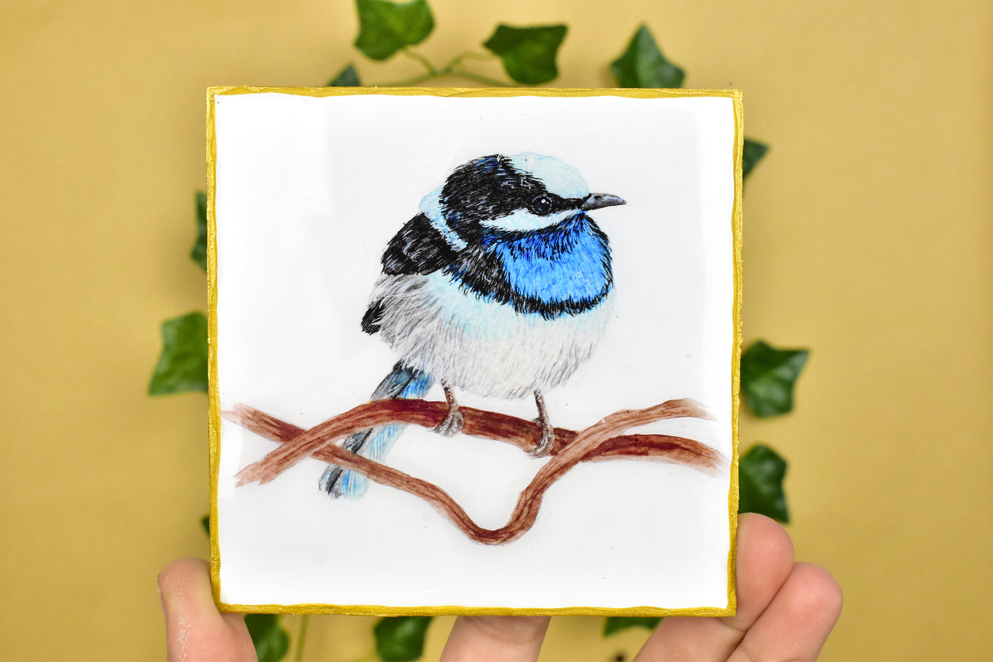 Australian Blue Fairy Wren Coaster 4 Pack