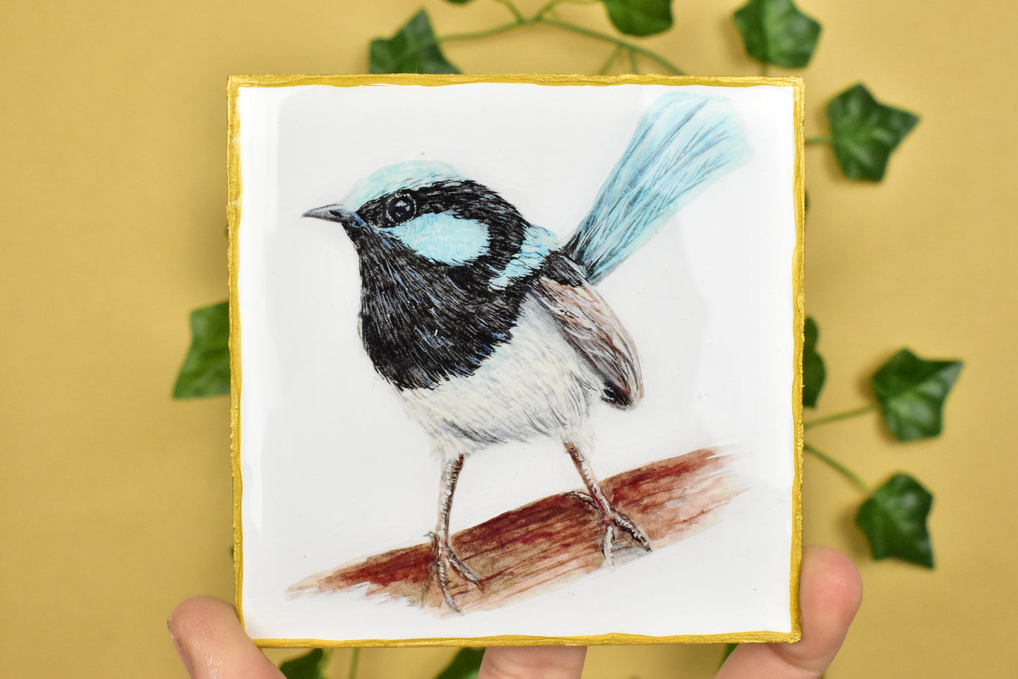 Australian Blue Fairy Wren Coaster 4 Pack