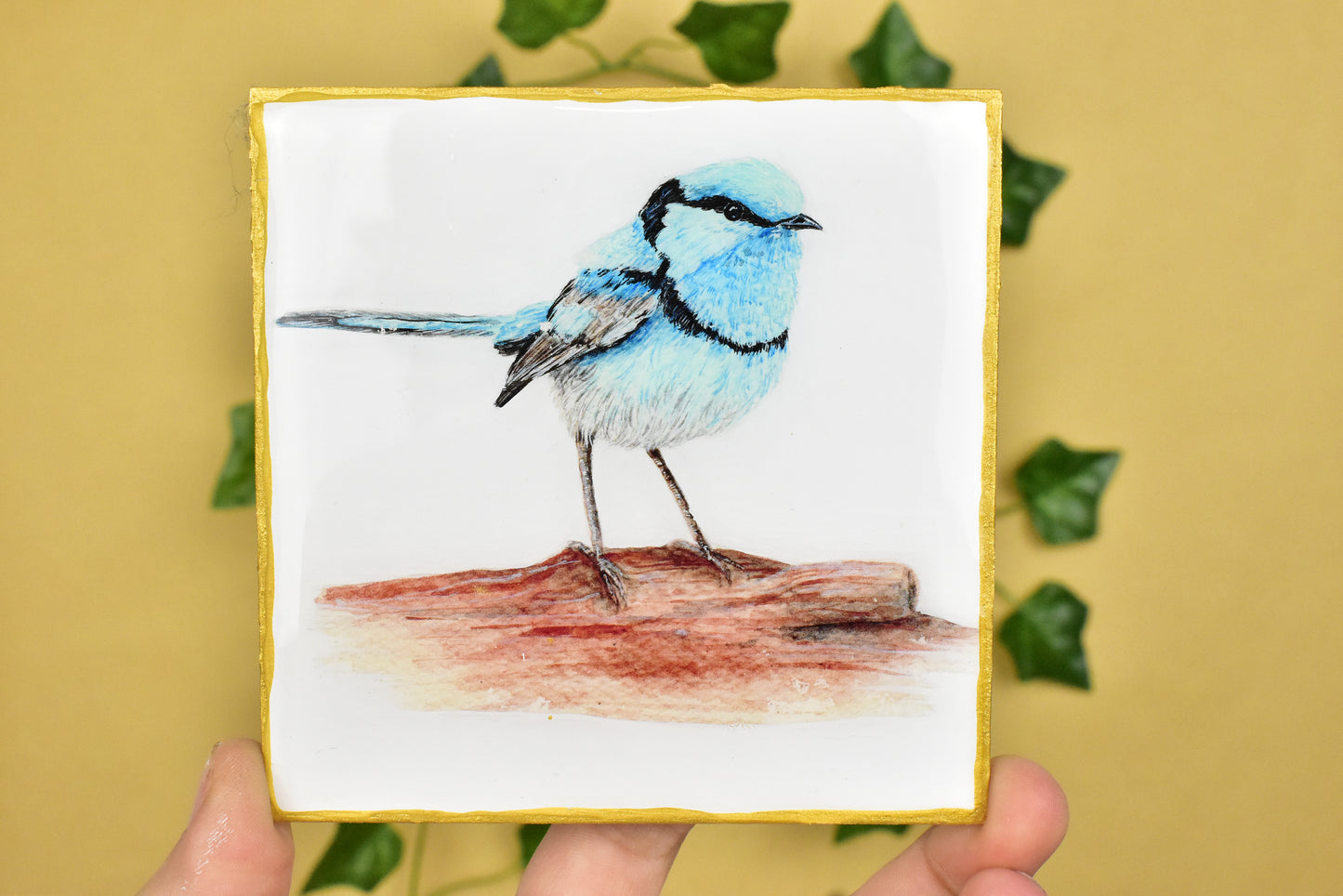 Australian Blue Fairy Wren Coaster 4 Pack