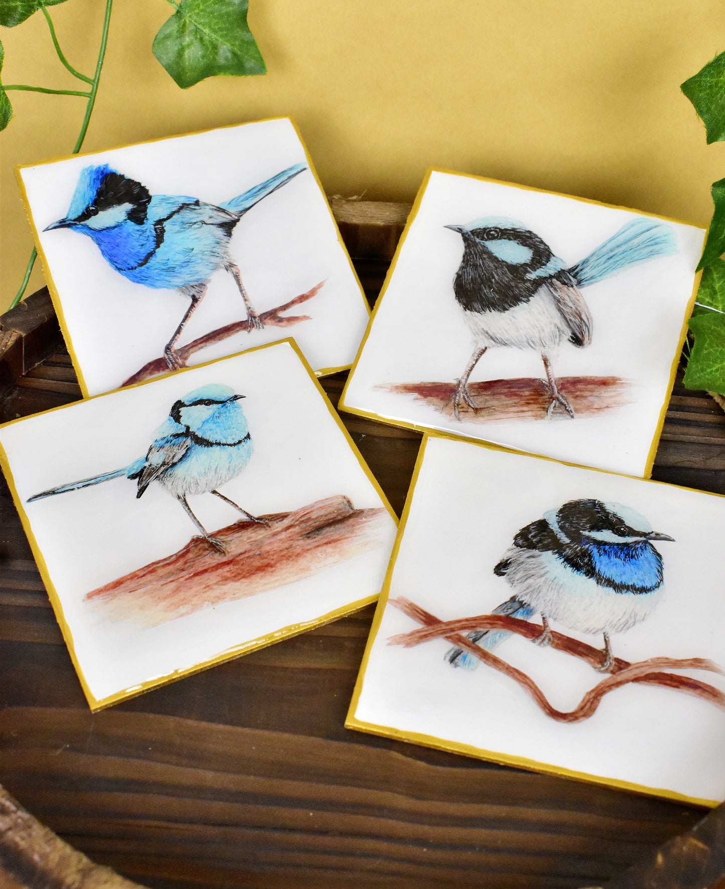 Australian Blue Fairy Wren Coaster 4 Pack