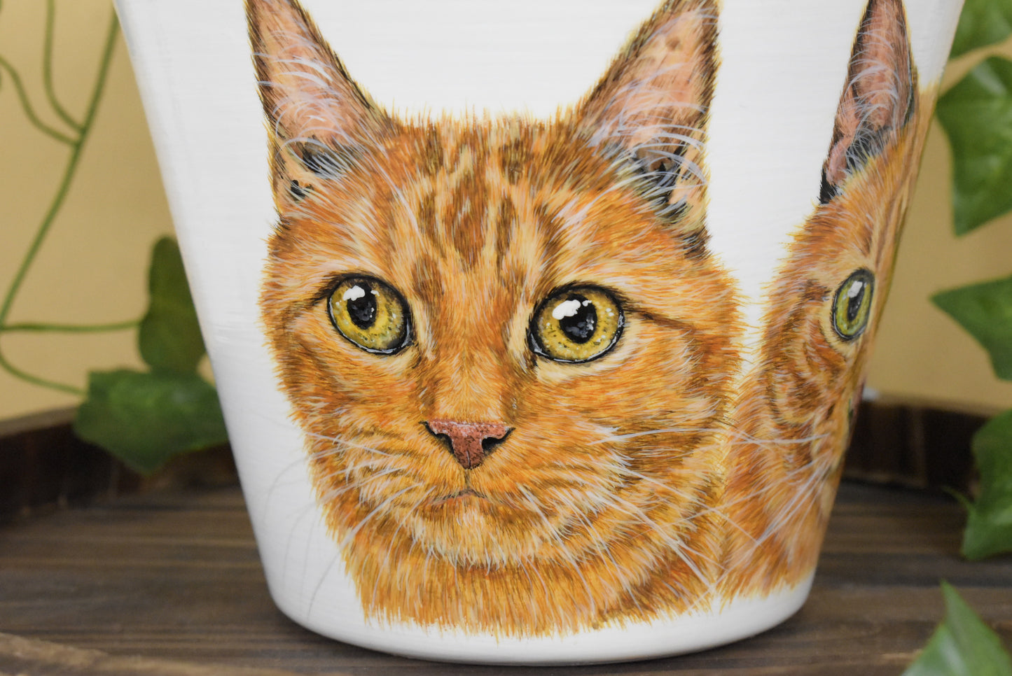 Terracotta Pot Pet Portrait