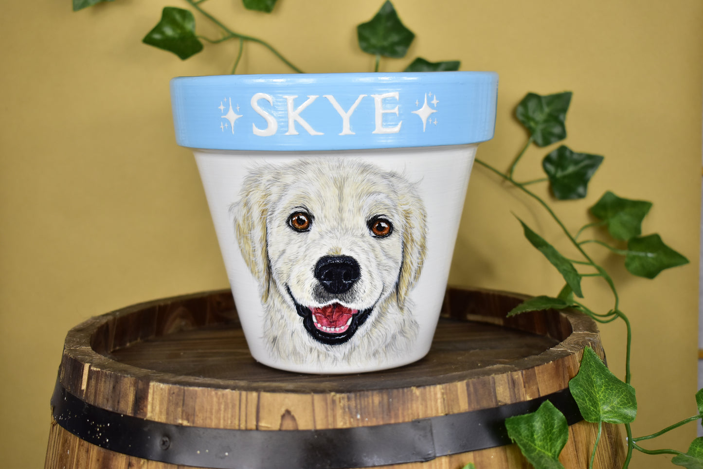 Terracotta Pot Pet Portrait