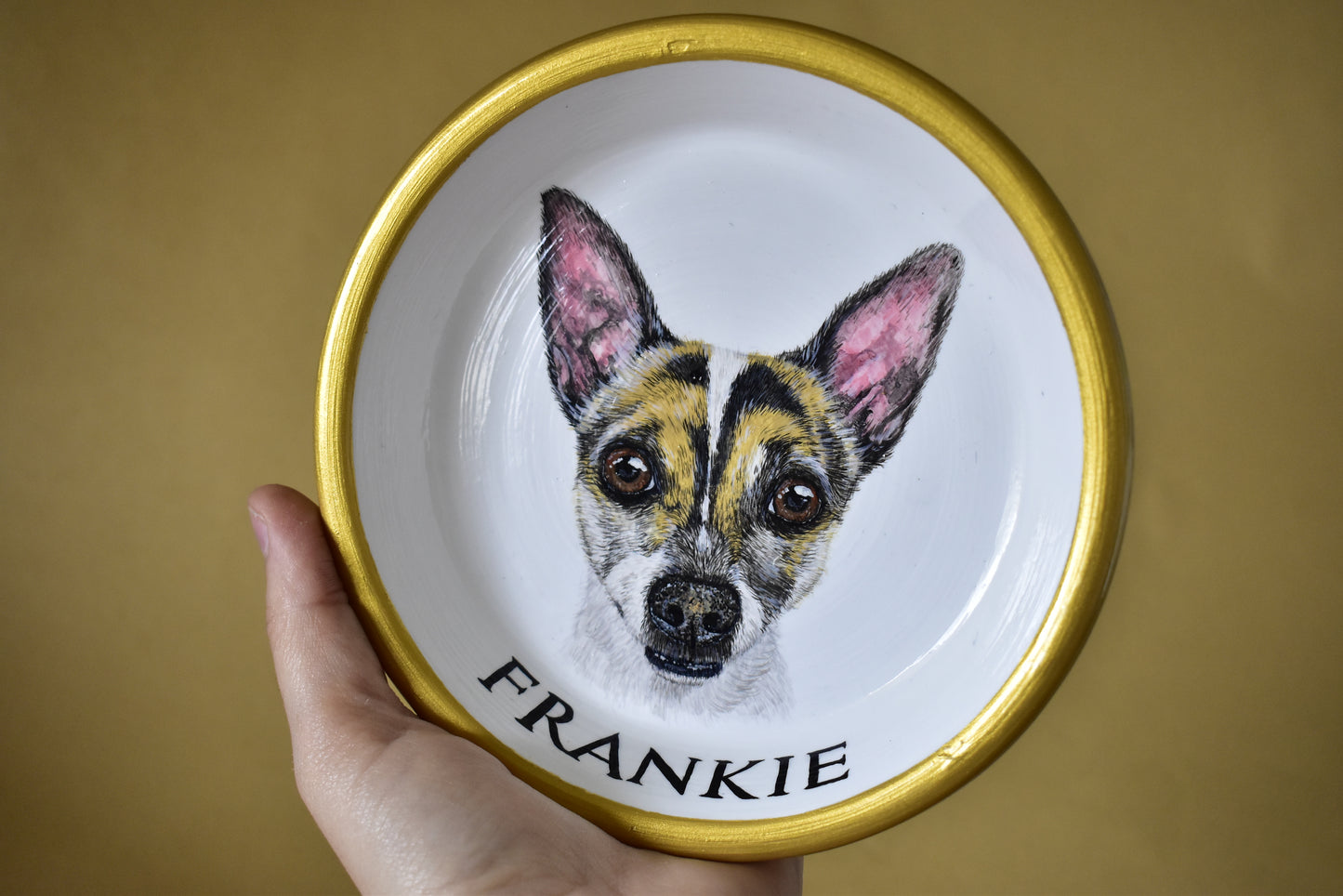 Terracotta Pet Plate