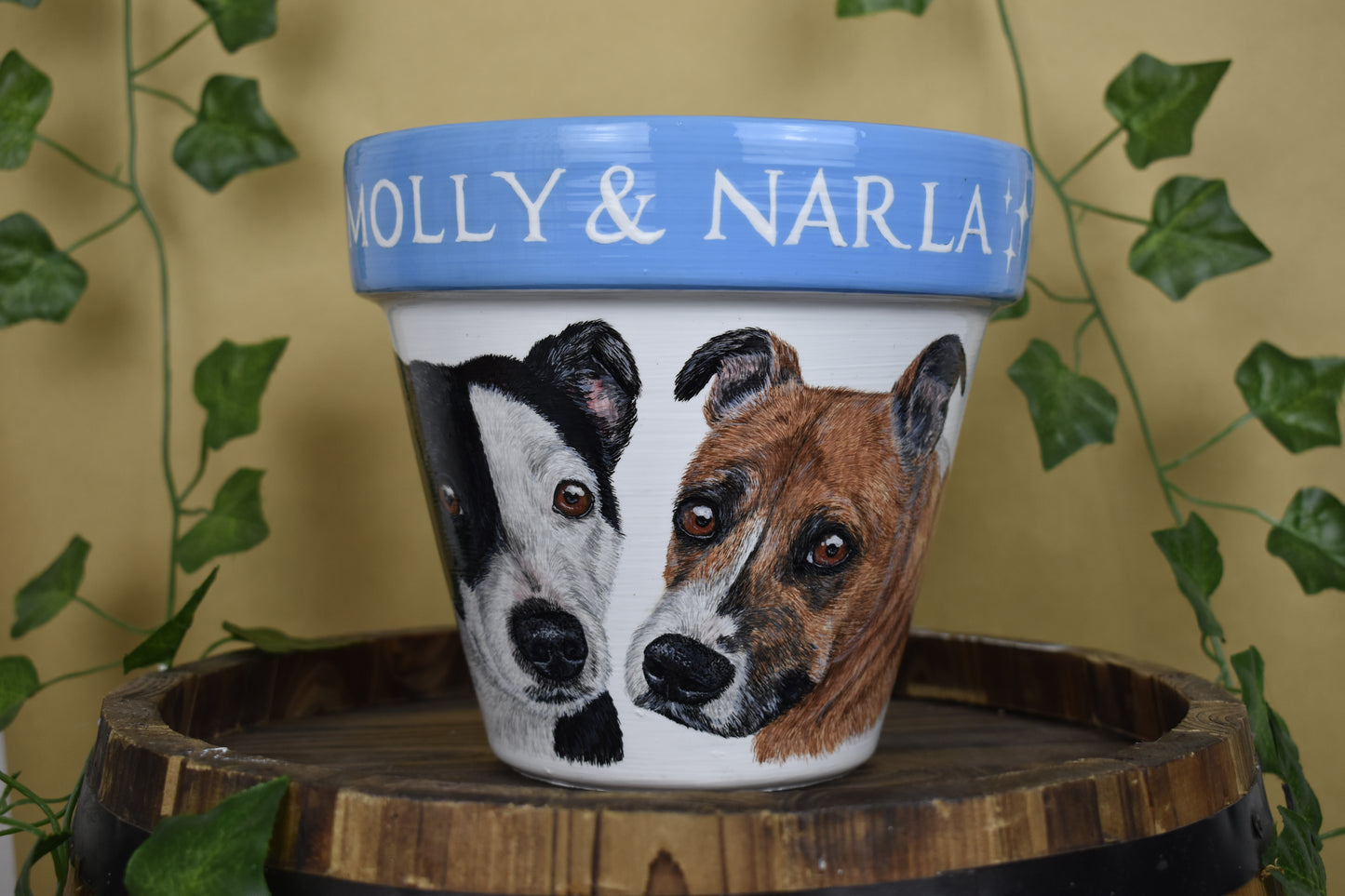 Terracotta Pot Pet Portrait