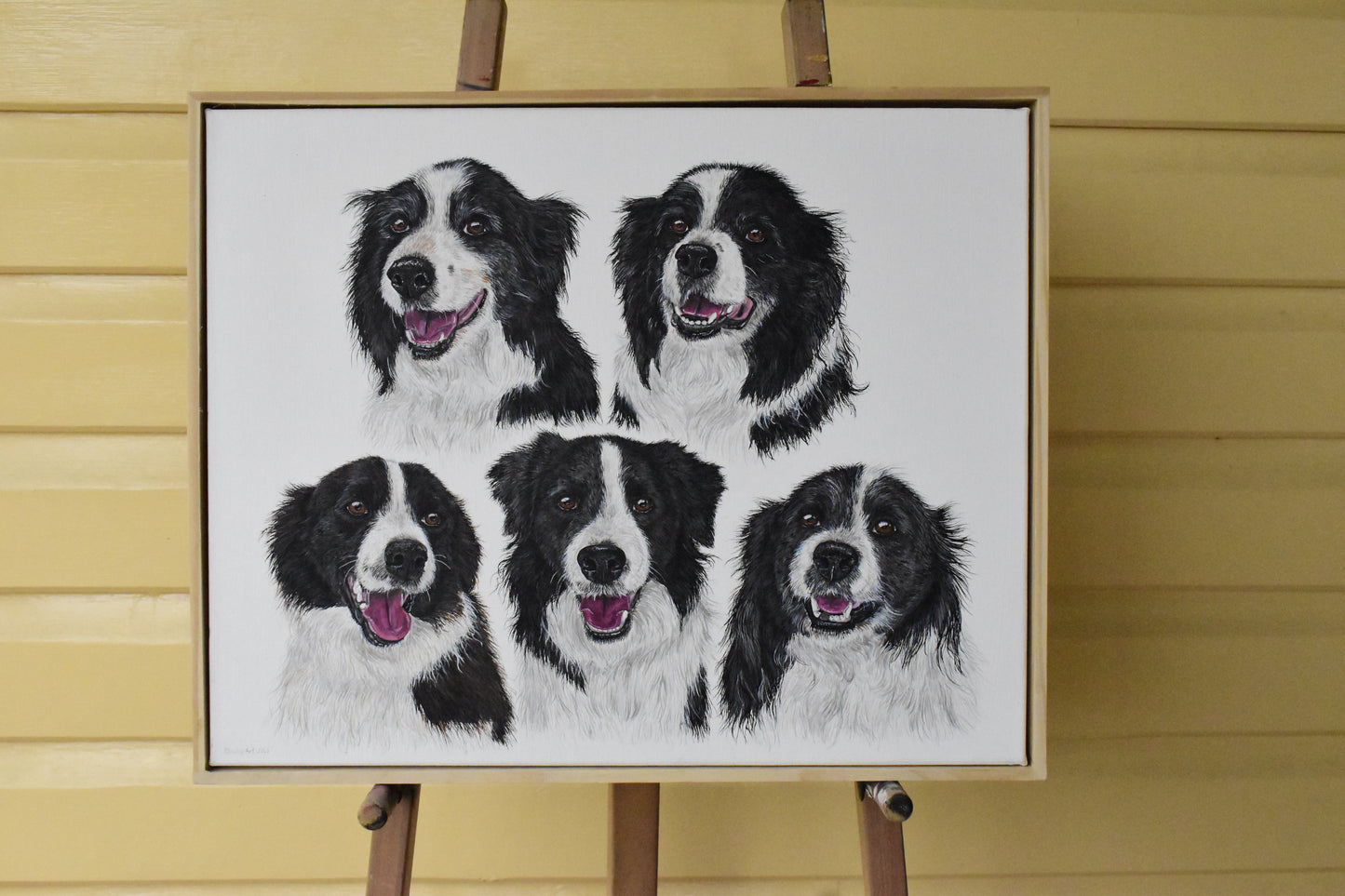 Canvas Pet Portraits