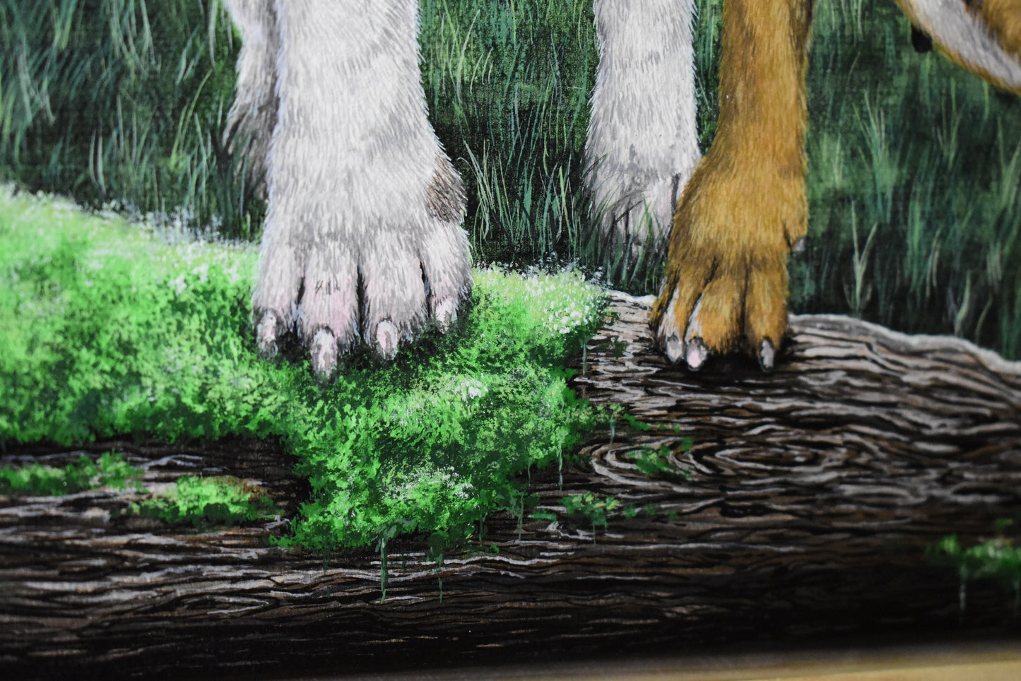 Canvas Pet Portraits