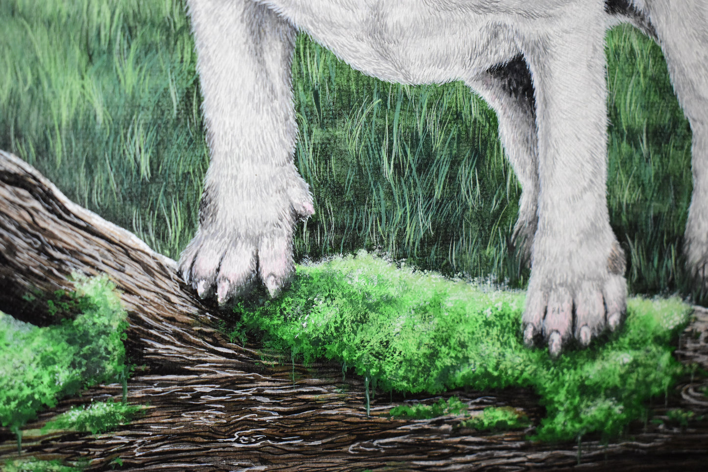 Canvas Pet Portraits
