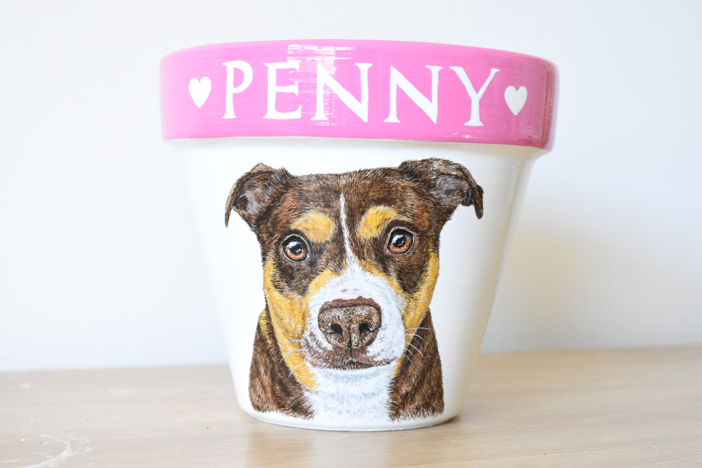Terracotta Pot Pet Portrait