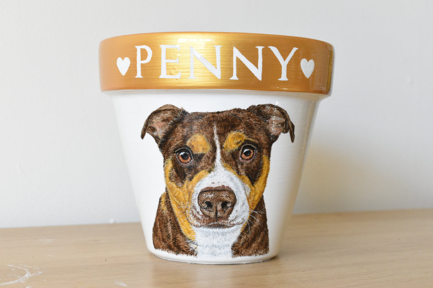 Terracotta Pot Pet Portrait
