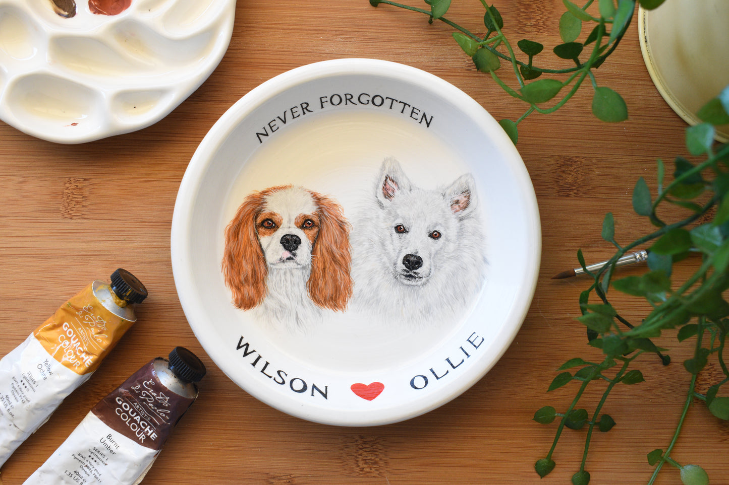 Terracotta Pet Plate