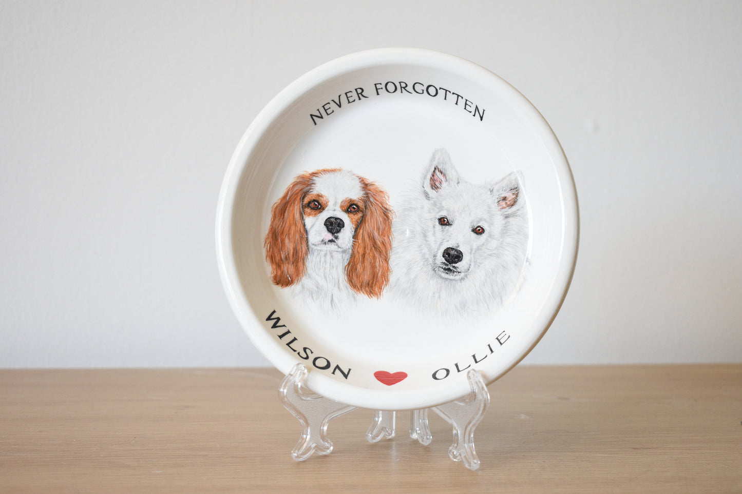 Terracotta Pet Plate