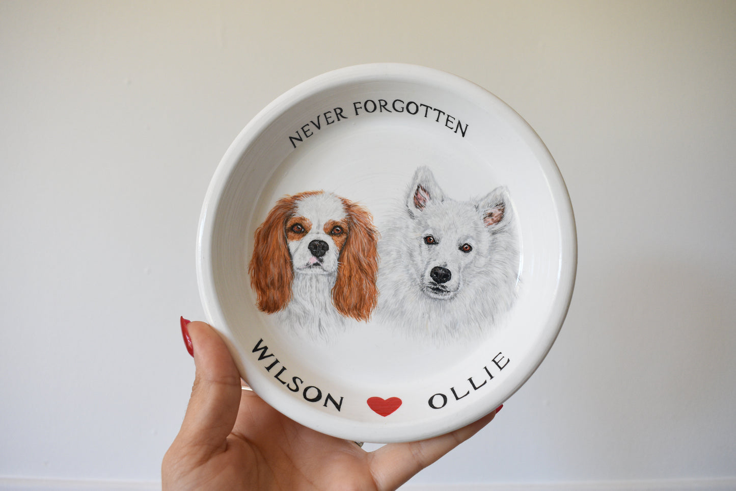 Terracotta Pet Plate