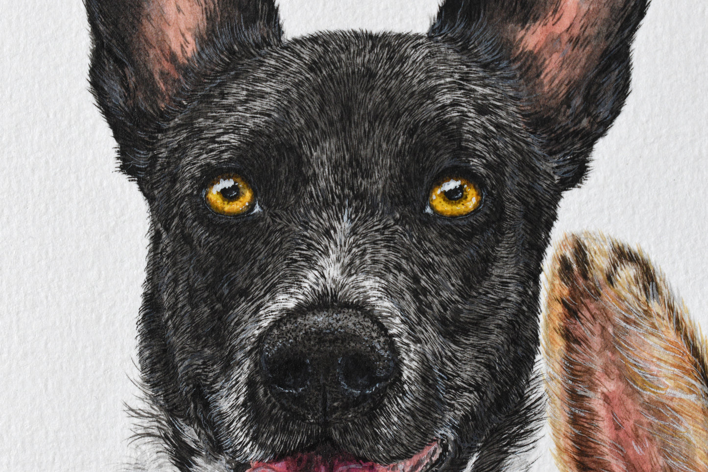 Traditional Paper Pet Portrait