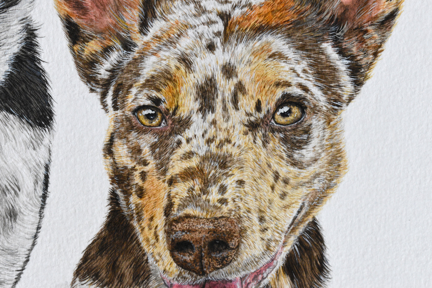 Traditional Paper Pet Portrait