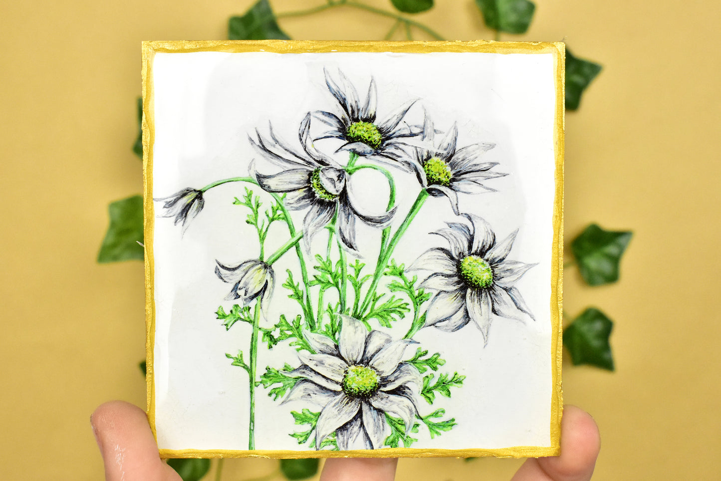 Australian Floral Coaster 4 Pack