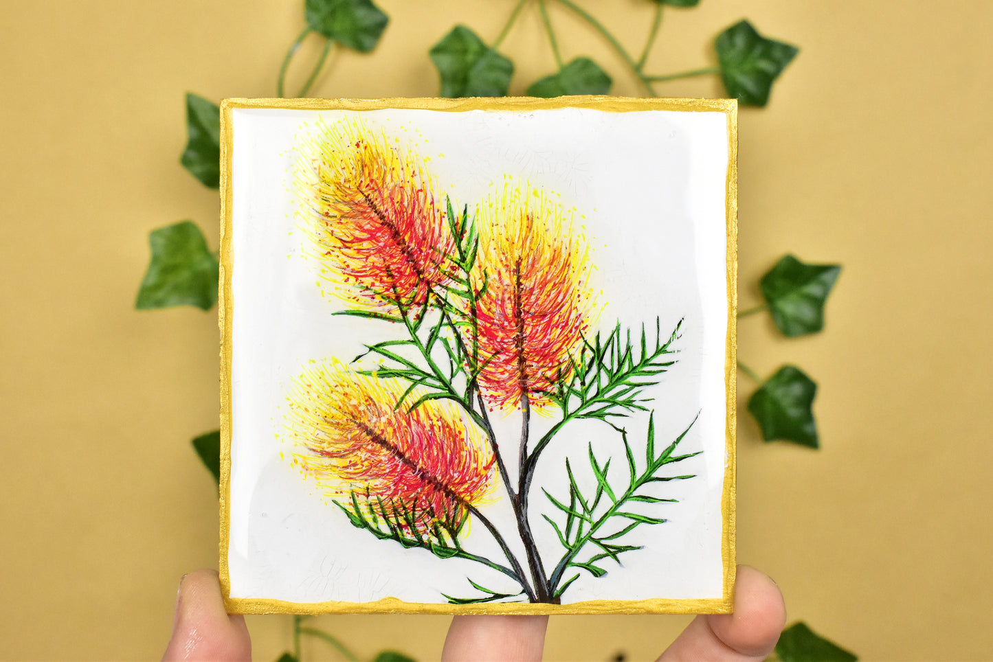 Australian Floral Coaster 4 Pack