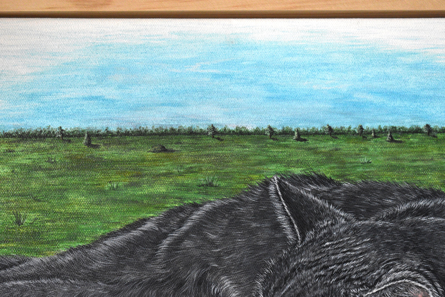 Canvas Pet Portraits