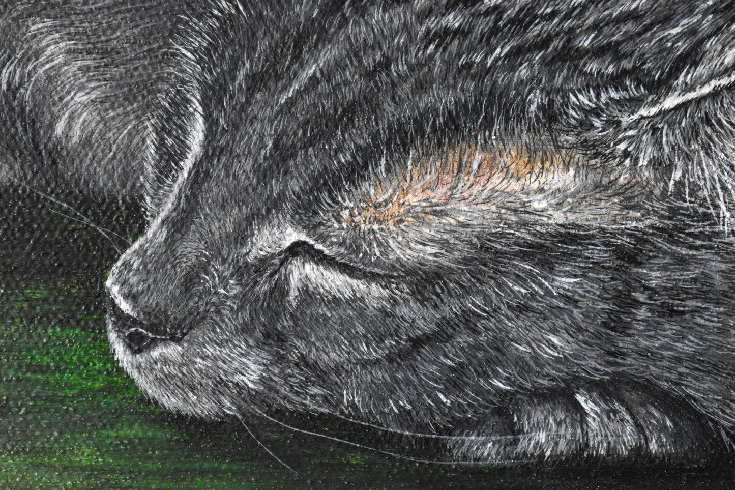 Canvas Pet Portraits