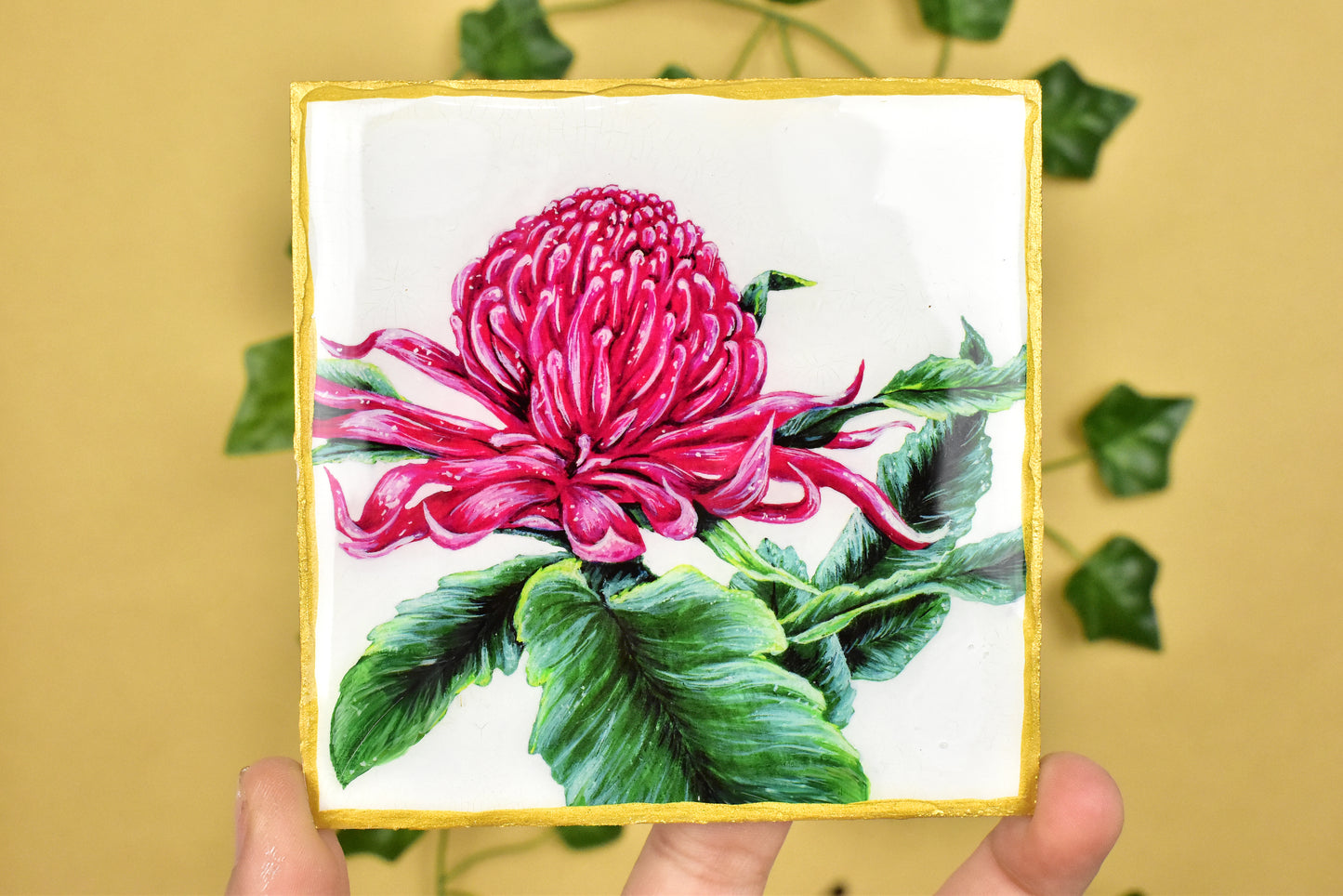 Australian Floral Coaster 4 Pack