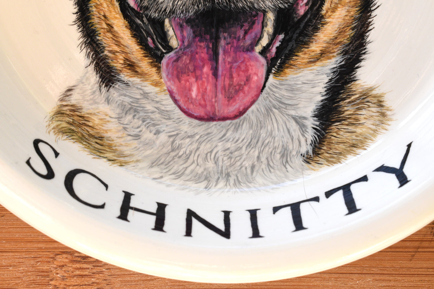 Terracotta Pet Plate