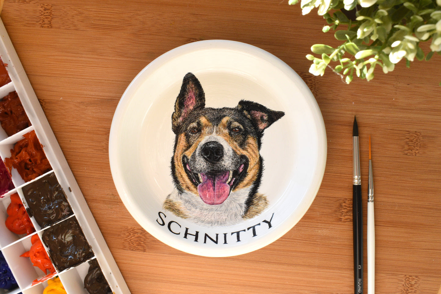 Terracotta Pet Plate
