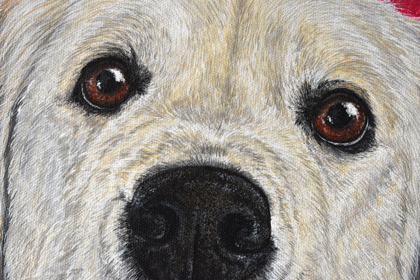 Canvas Pet Portraits