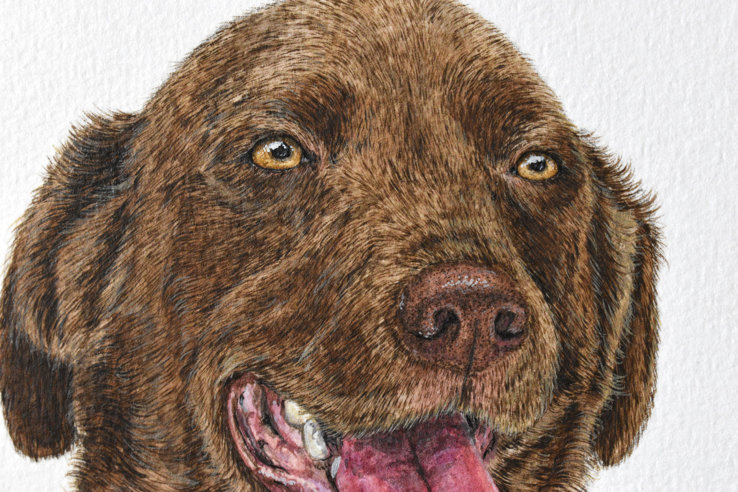 Traditional Paper Pet Portrait
