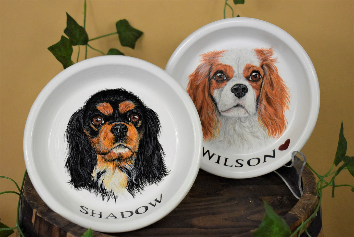 Terracotta Pet Plate