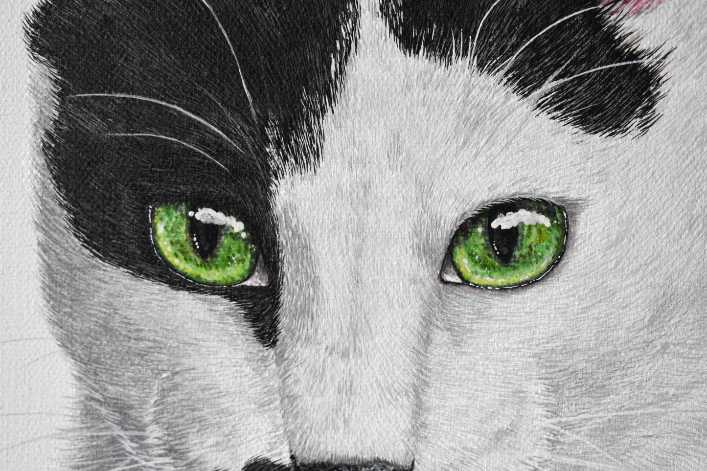 Canvas Pet Portraits